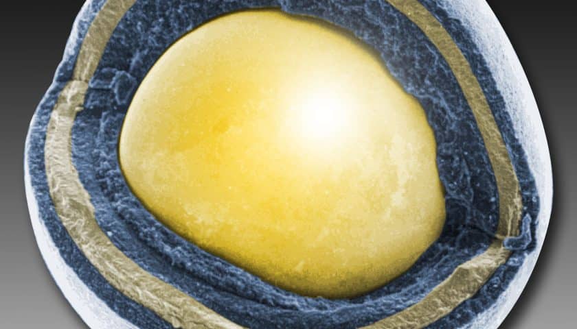 TRISO fuel particle Actualités Défense | Artillerie | Conflit Russo-Ukrainien