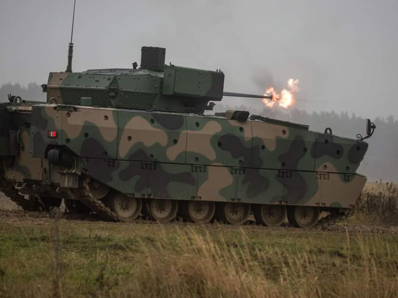 Polish Borsuk Germany | Military alliances | Defense Analysis 