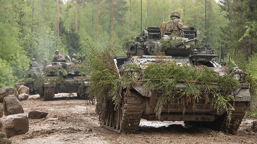 armée estonienne