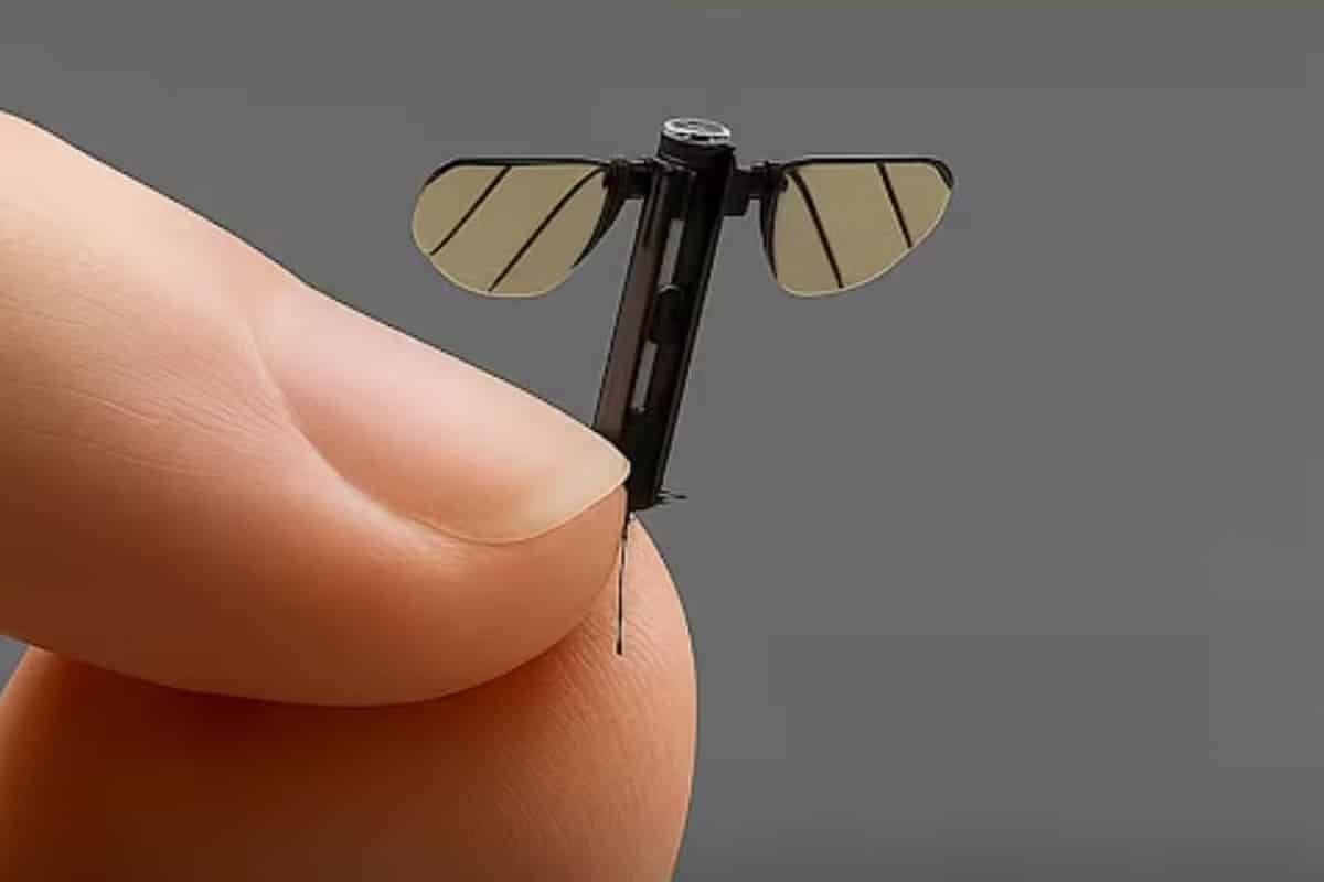 drone espion moustique chinois